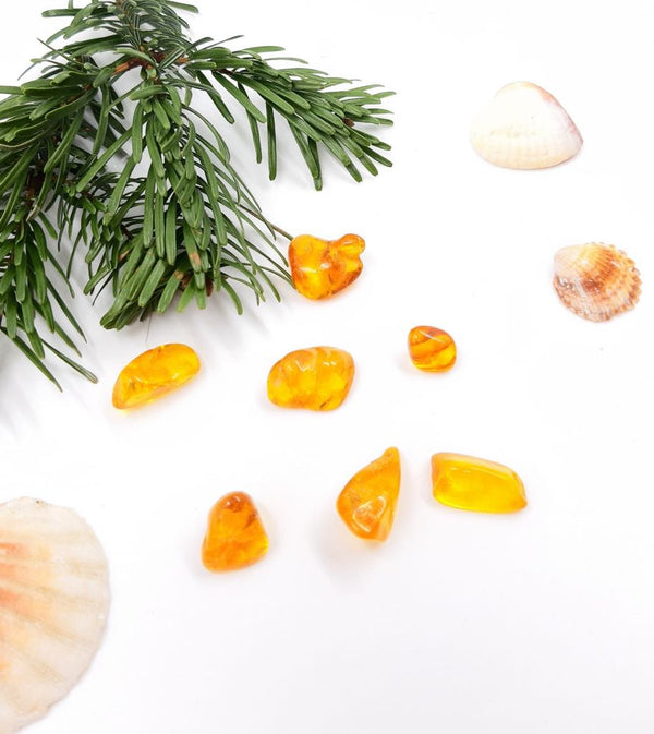 Pieces of yellow amber