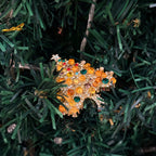 Kalėdinė Eglutės Formos Sagė su Gintaru